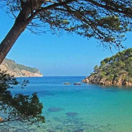 Joouvacations Pani
